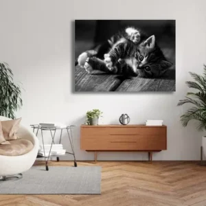 Tableau Chaton noir et blanc